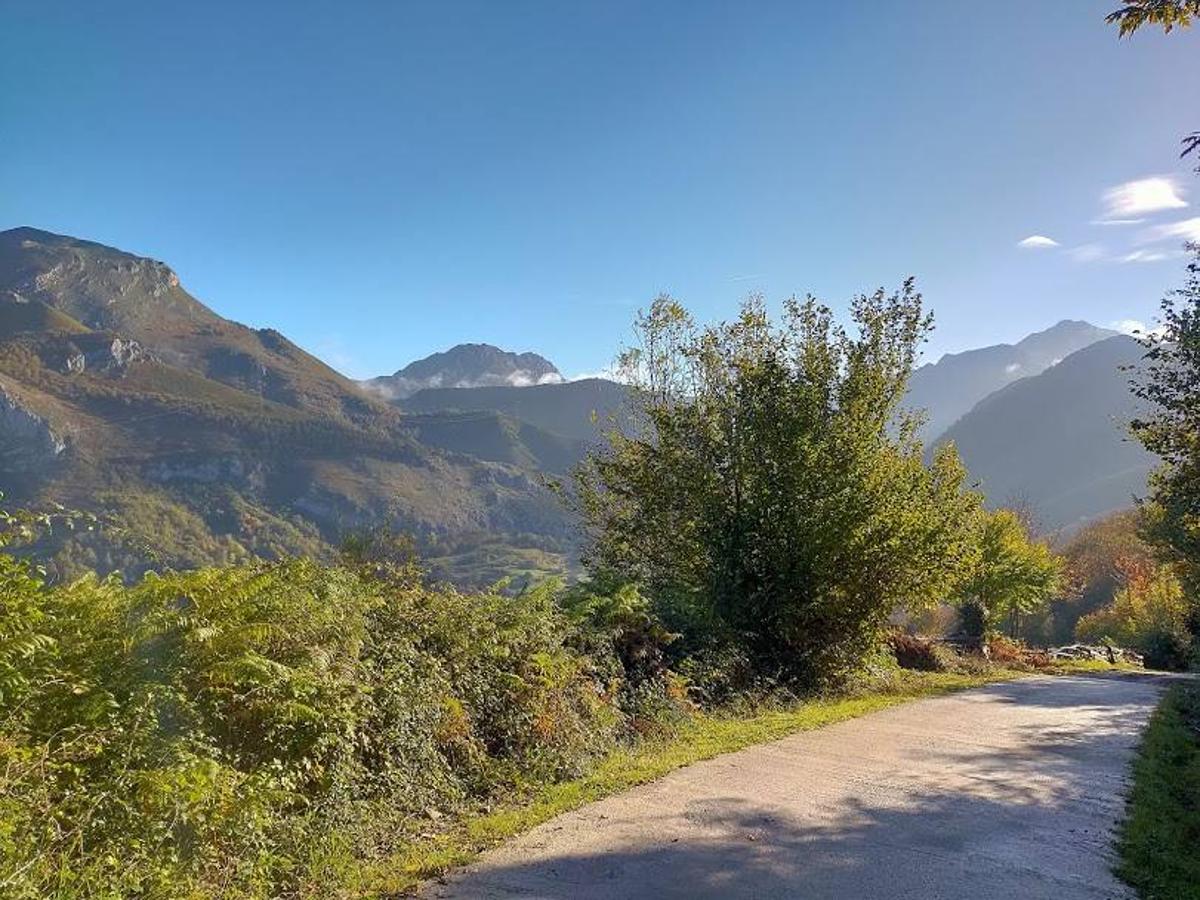 Fotos: Ruta otoñal hasta el refugio de Brañagallones