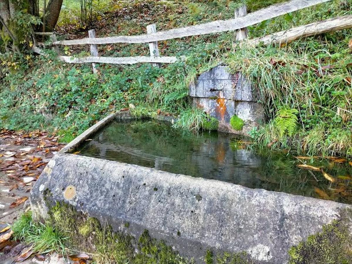 Fotos: Ruta otoñal hasta el refugio de Brañagallones