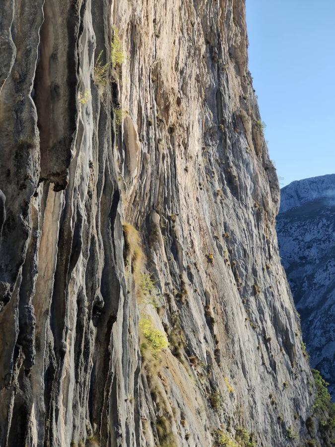 Fotos: Los hermanos Pou y Kico Cerdá abren &#039;Víbora&#039; en Picos de Europa