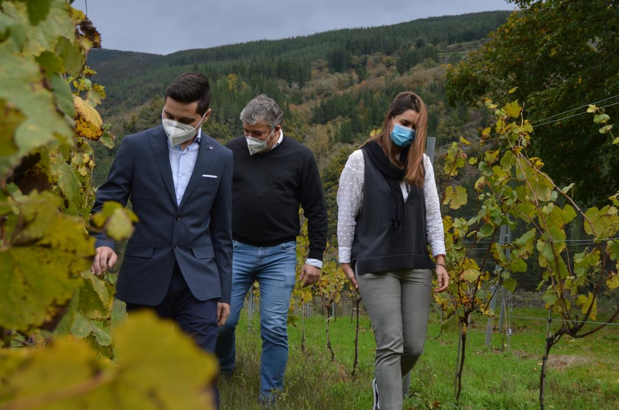 Los viticultores Adrián Fernández y Lalo Méndez, junto a la alcaldesa ibiense, Gemma Álvarez. 