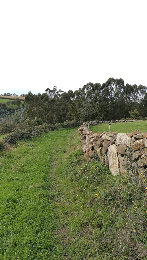 Fotos: Paseo hasta la cascada de la Mexona