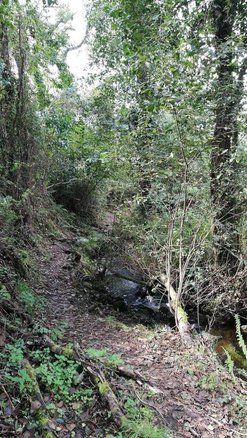 Fotos: Paseo hasta la cascada de la Mexona