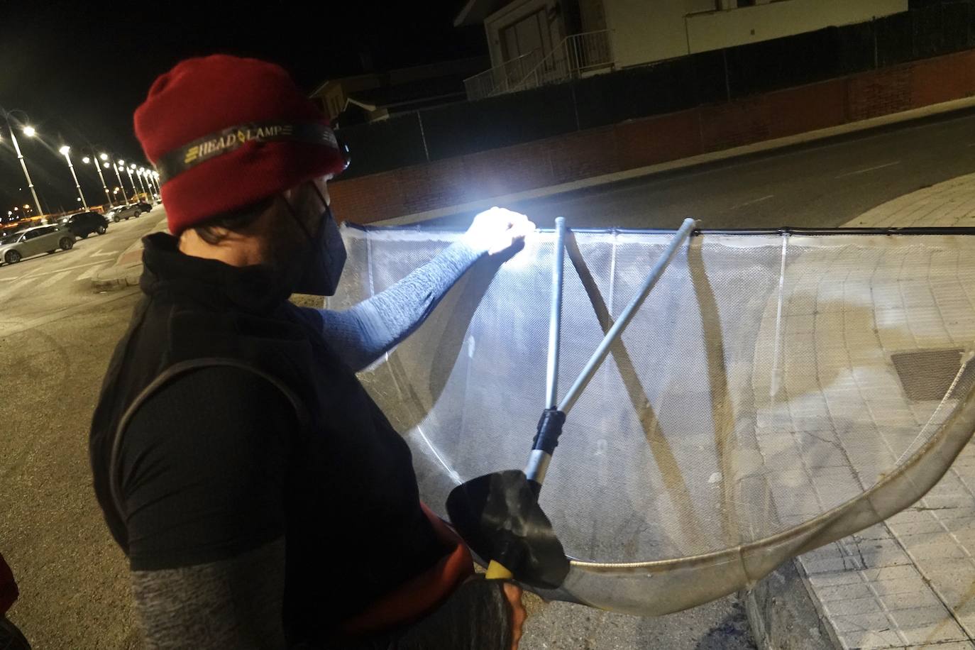 Este domingo dio comienzo la campaña de angula en Ribadesella. En el sector hay mucha preocupación por los bajos precios que puede alcanzar ante las continuas amenazas de confinamiento y la situación de la hostelería.