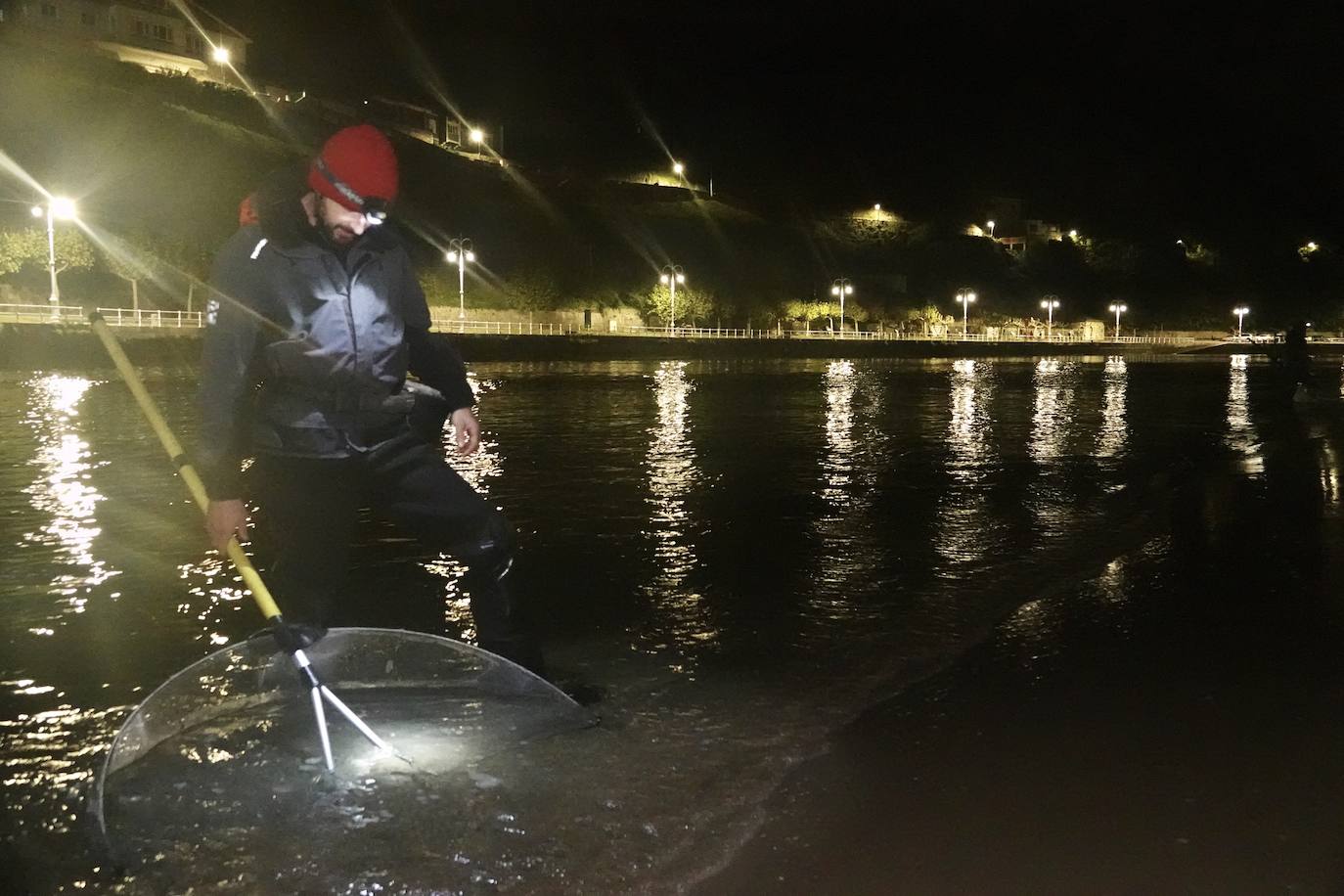 Este domingo dio comienzo la campaña de angula en Ribadesella. En el sector hay mucha preocupación por los bajos precios que puede alcanzar ante las continuas amenazas de confinamiento y la situación de la hostelería.