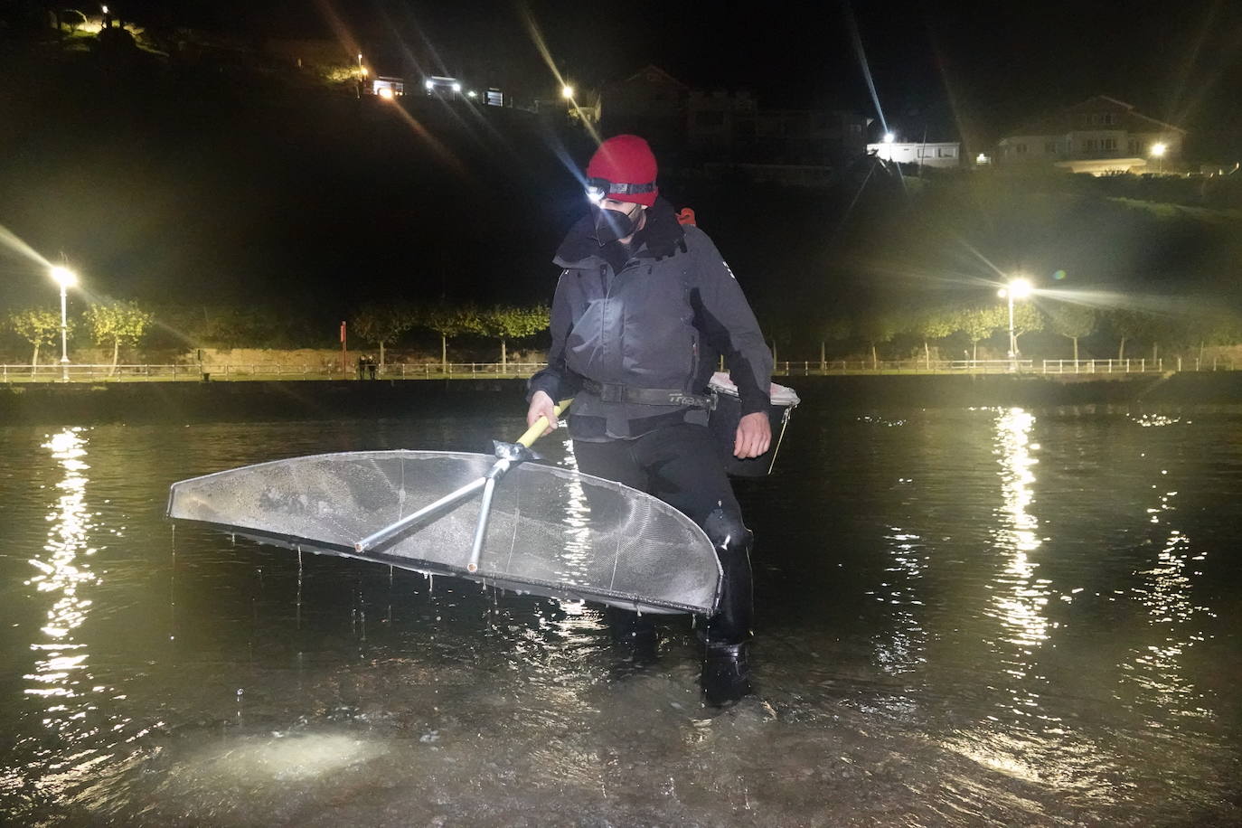 Este domingo dio comienzo la campaña de angula en Ribadesella. En el sector hay mucha preocupación por los bajos precios que puede alcanzar ante las continuas amenazas de confinamiento y la situación de la hostelería.