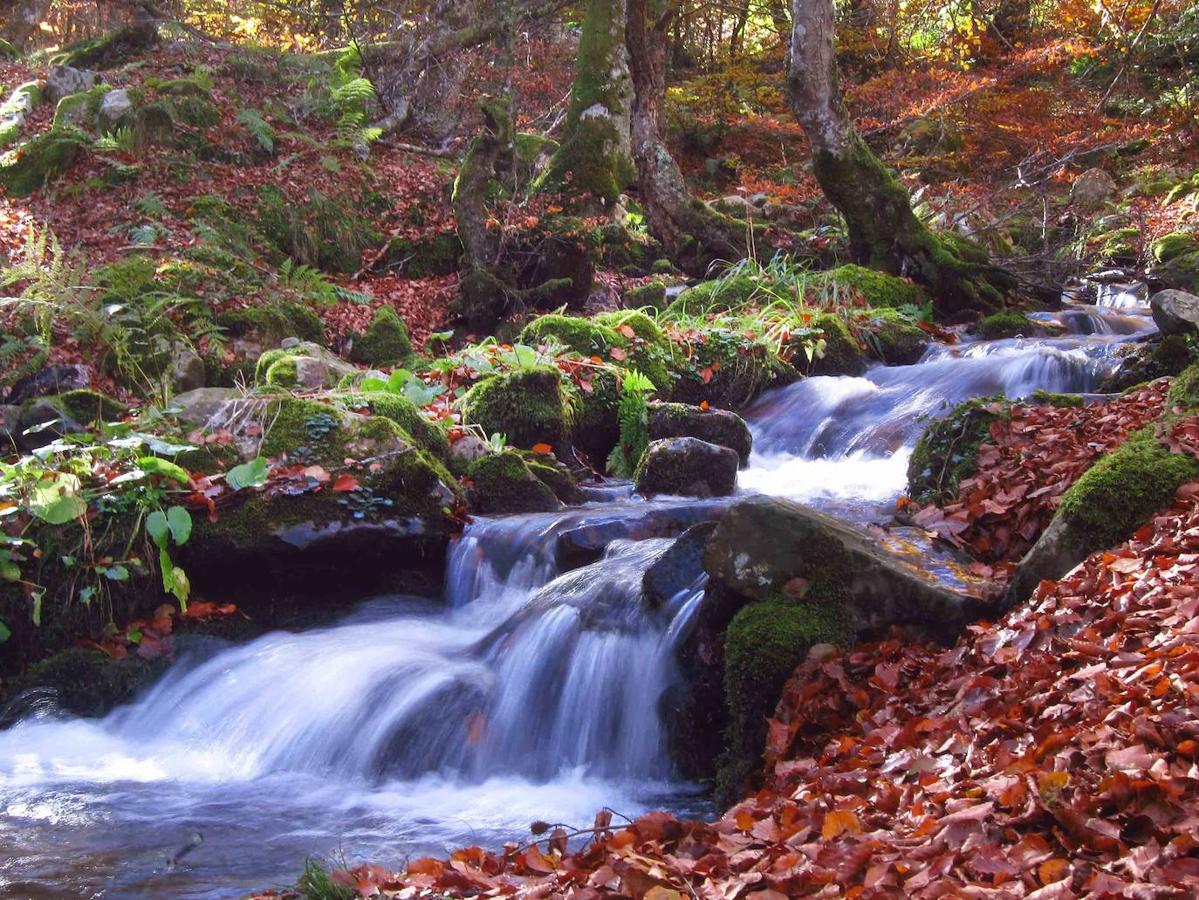 Fotos: Paseo otoñal hasta los corros de la Braña de las Cadenas