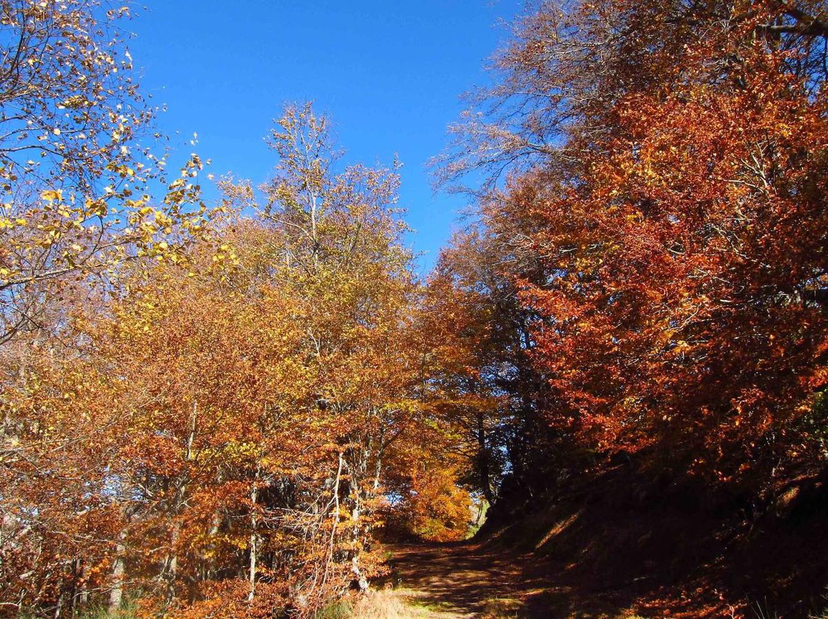 Fotos: Paseo otoñal hasta los corros de la Braña de las Cadenas