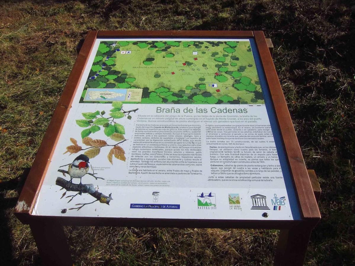 Fotos: Paseo otoñal hasta los corros de la Braña de las Cadenas