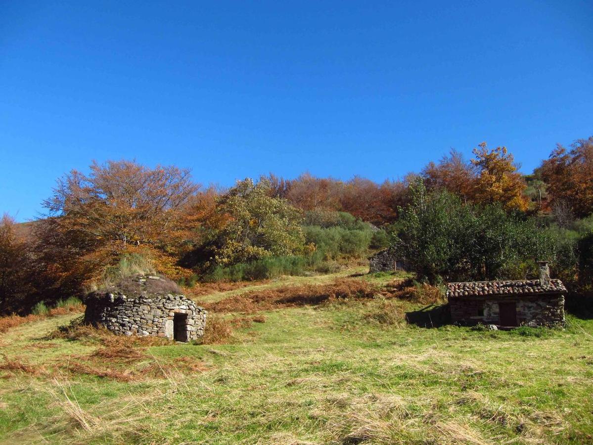 Fotos: Paseo otoñal hasta los corros de la Braña de las Cadenas