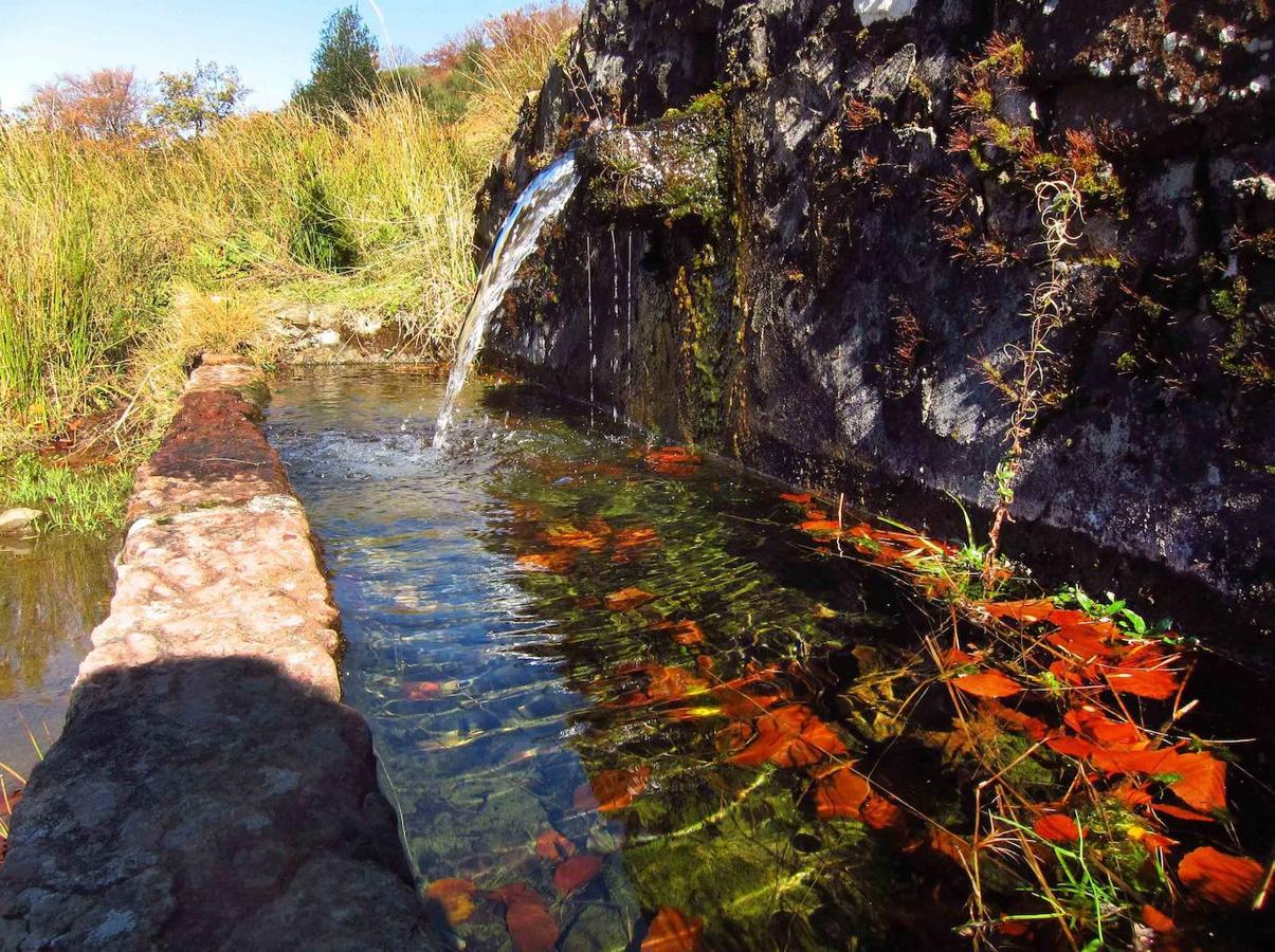 Fotos: Paseo otoñal hasta los corros de la Braña de las Cadenas