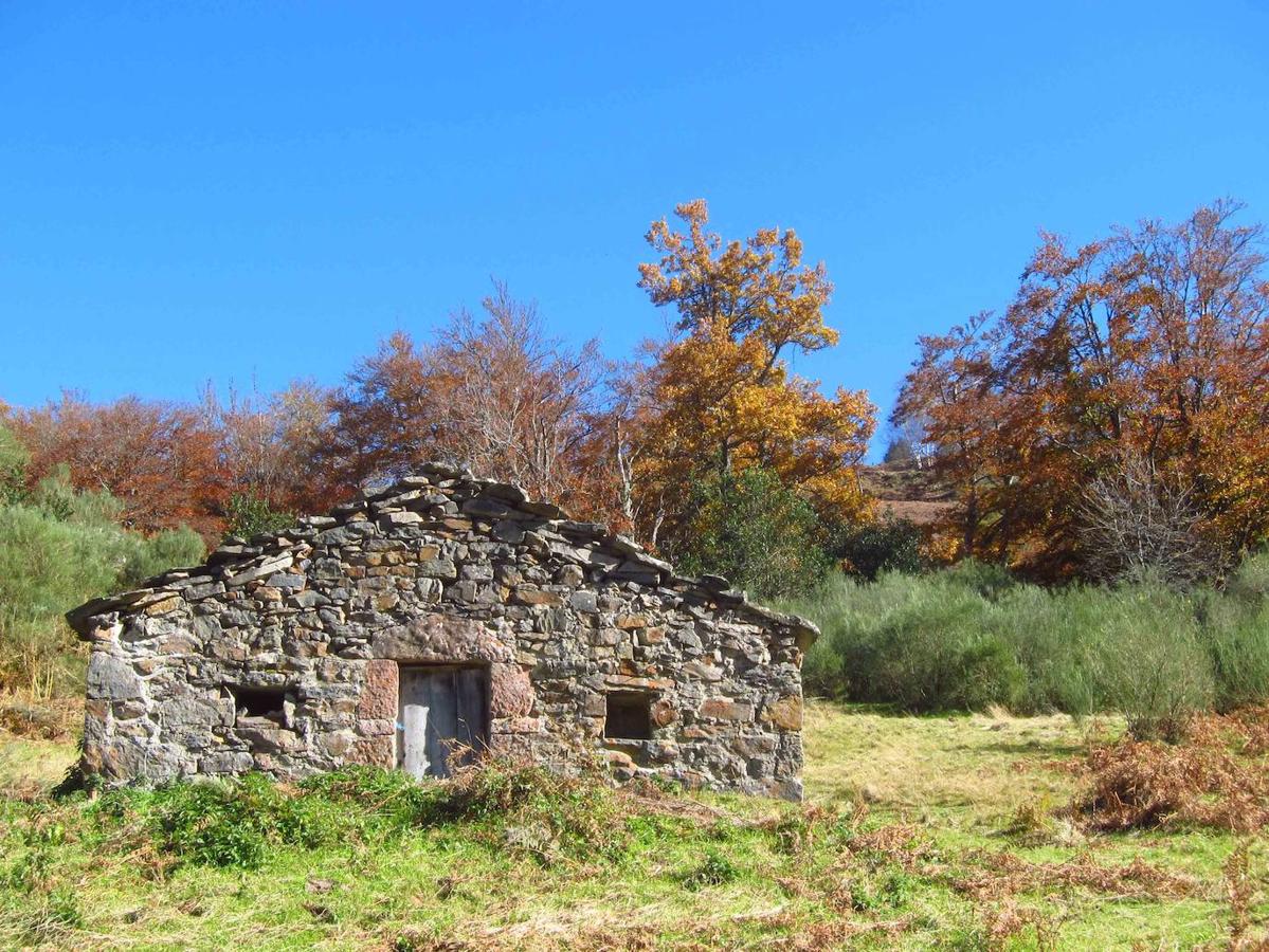 Fotos: Paseo otoñal hasta los corros de la Braña de las Cadenas