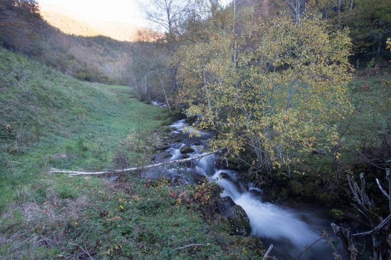 La sierra de Os Ancares, al este de la provincia de Lugo, en la frontera con las comunidades de Asturias y Castilla y León, se distribuye a lo largo de más de 50.000 hectáreas. Con una infinita red de senderos cruza profundos valles y asciende hasta cumbres de 2.000 metros de altura. En otoño el manto vegetal adquiere tonos rojizos. En invierno, esta zona permanece cubierta por la nieve, algo que cambia con la llegada de la primavera, cuando las aguas del deshielo fluyen desde las cumbres hasta las zonas bajas, formando numerosos riachuelos y pequeñas cascadas. 