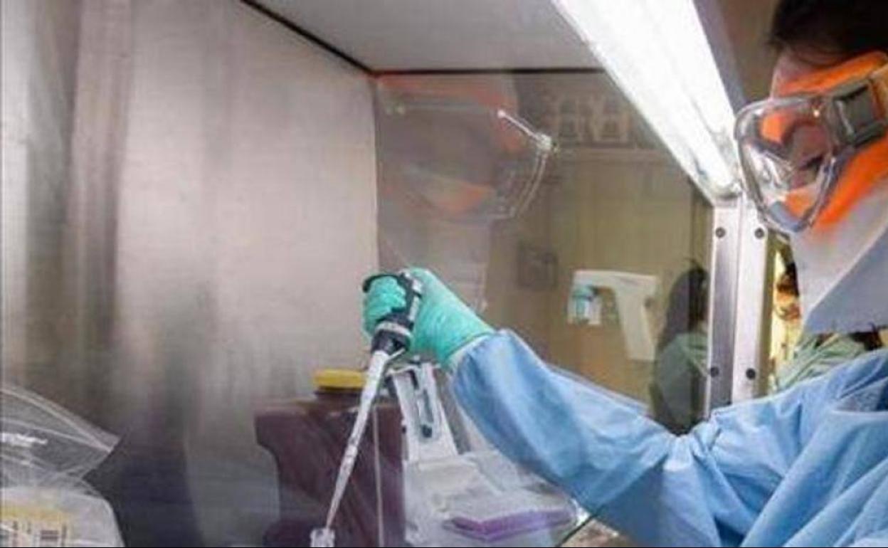 El epidemiólogo de referencia en Suecia pone fecha para la vuelta a la normalidad