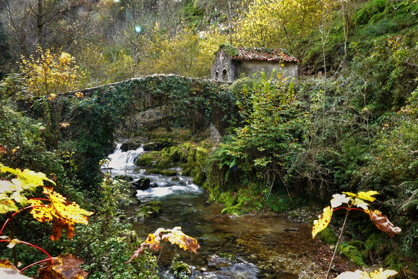 Los colores del otoño, e incluso el blanco de la nieve, ya han teñido los rincones de los Picos de Europa, uno de los lugares más imponentes de Asturias. En este espacio encontraremos las cumbres más altas de la Cordillera Cantábrica como la más emblemática: el Picu Urriellu o Naranjo de Bulnes con sus 2.519 metros de altitud. Un total de 67.127 hectáreas que conforman una de las mejores reservas mundiales de los ecosistemas ligados al bosque atlántico.