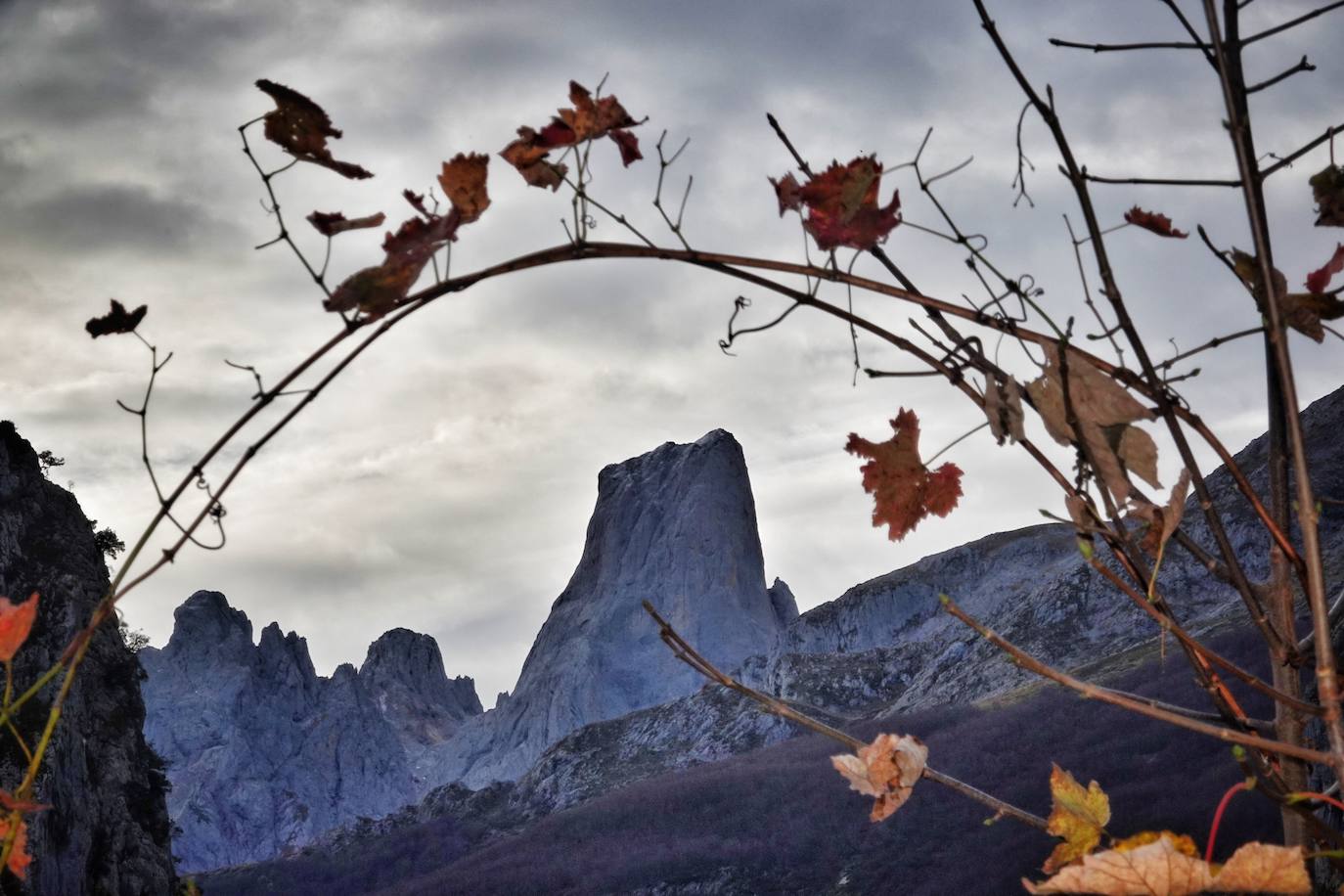 Los colores del otoño, e incluso el blanco de la nieve, ya han teñido los rincones de los Picos de Europa, uno de los lugares más imponentes de Asturias. En este espacio encontraremos las cumbres más altas de la Cordillera Cantábrica como la más emblemática: el Picu Urriellu o Naranjo de Bulnes con sus 2.519 metros de altitud. Un total de 67.127 hectáreas que conforman una de las mejores reservas mundiales de los ecosistemas ligados al bosque atlántico.