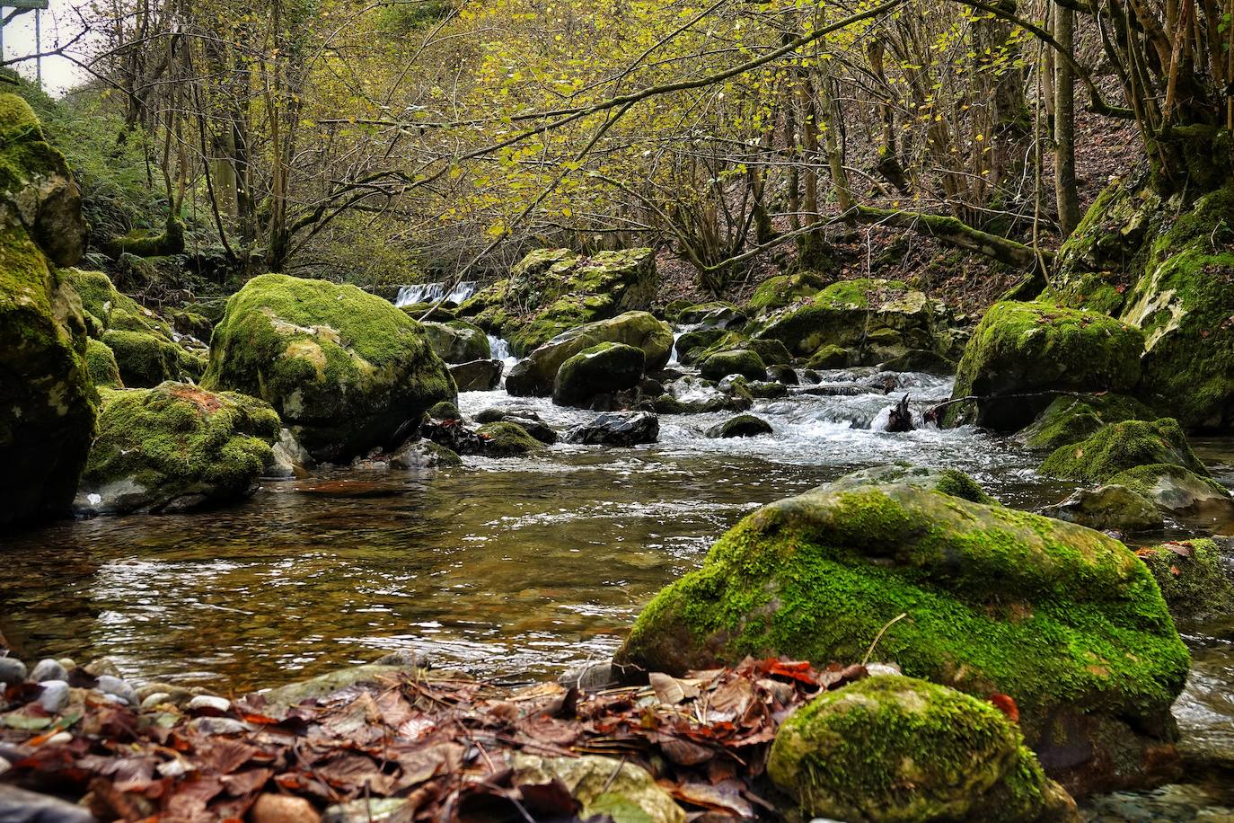 Los colores del otoño, e incluso el blanco de la nieve, ya han teñido los rincones de los Picos de Europa, uno de los lugares más imponentes de Asturias. En este espacio encontraremos las cumbres más altas de la Cordillera Cantábrica como la más emblemática: el Picu Urriellu o Naranjo de Bulnes con sus 2.519 metros de altitud. Un total de 67.127 hectáreas que conforman una de las mejores reservas mundiales de los ecosistemas ligados al bosque atlántico.