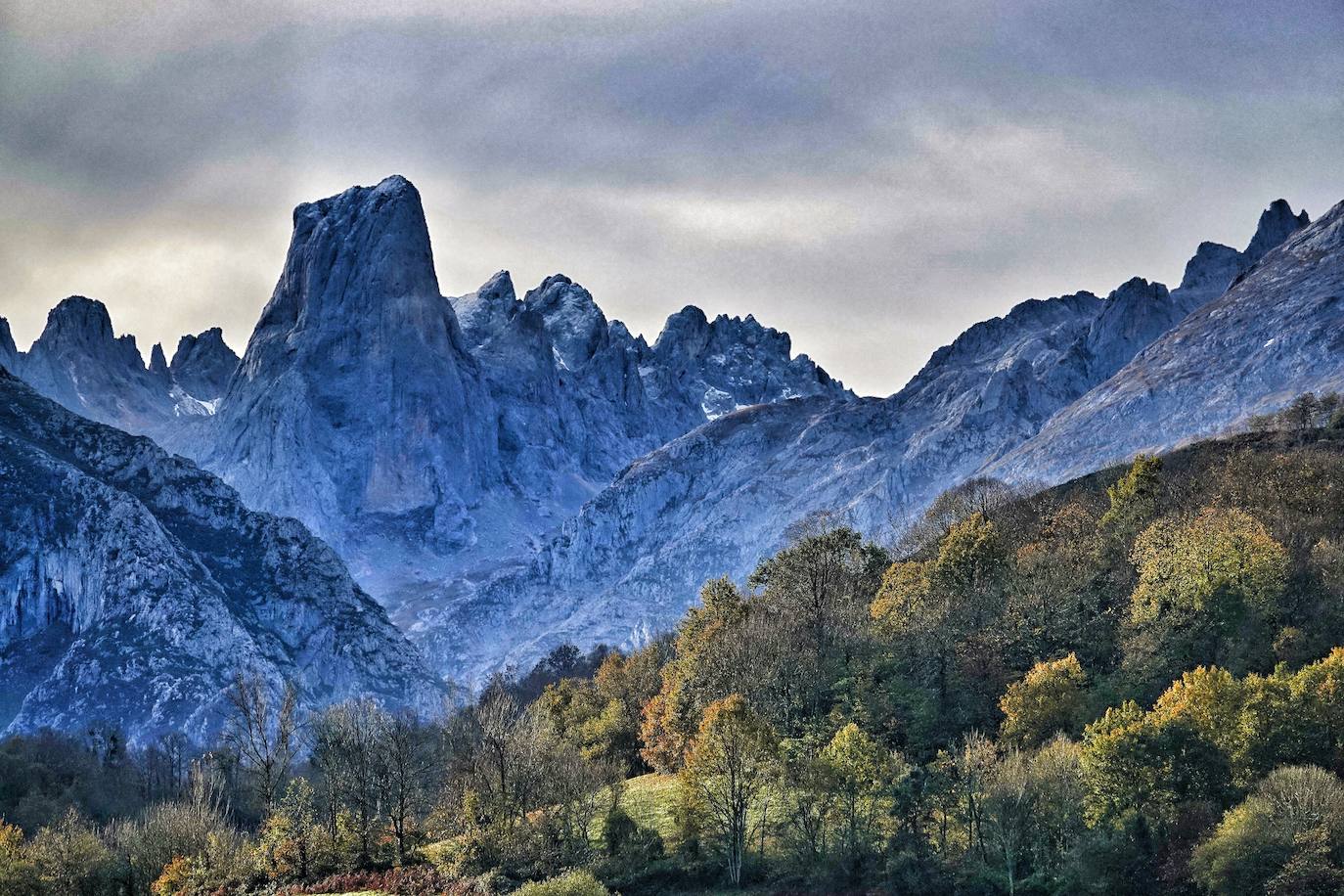 Los colores del otoño, e incluso el blanco de la nieve, ya han teñido los rincones de los Picos de Europa, uno de los lugares más imponentes de Asturias. En este espacio encontraremos las cumbres más altas de la Cordillera Cantábrica como la más emblemática: el Picu Urriellu o Naranjo de Bulnes con sus 2.519 metros de altitud. Un total de 67.127 hectáreas que conforman una de las mejores reservas mundiales de los ecosistemas ligados al bosque atlántico.