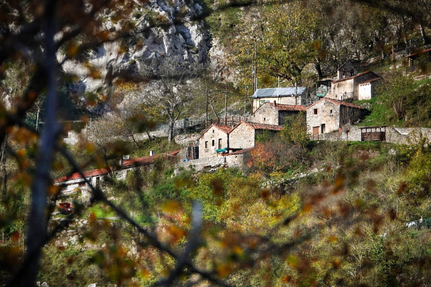 Los colores del otoño, e incluso el blanco de la nieve, ya han teñido los rincones de los Picos de Europa, uno de los lugares más imponentes de Asturias. En este espacio encontraremos las cumbres más altas de la Cordillera Cantábrica como la más emblemática: el Picu Urriellu o Naranjo de Bulnes con sus 2.519 metros de altitud. Un total de 67.127 hectáreas que conforman una de las mejores reservas mundiales de los ecosistemas ligados al bosque atlántico.