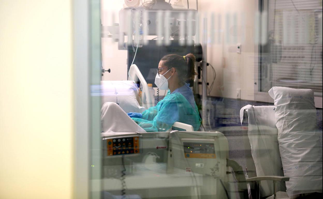 La pandemia se recrudece: 605 nuevos casos, 11 muertes y 118 hospitalizaciones 