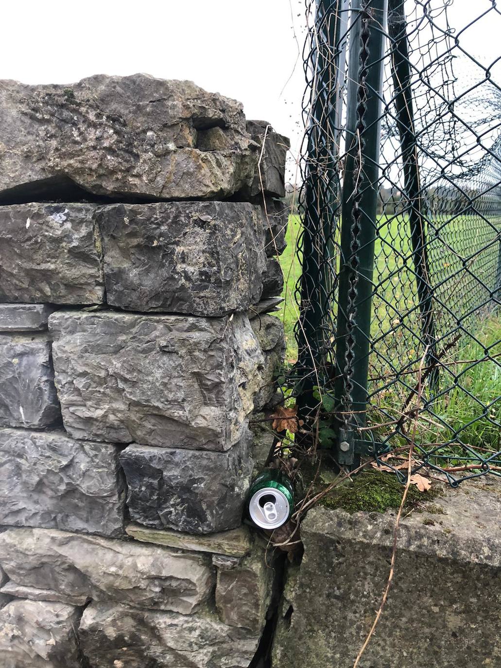 Los espacios verdes de la zona rural estuvieron ayer llenos de gente comiendo y merendando 