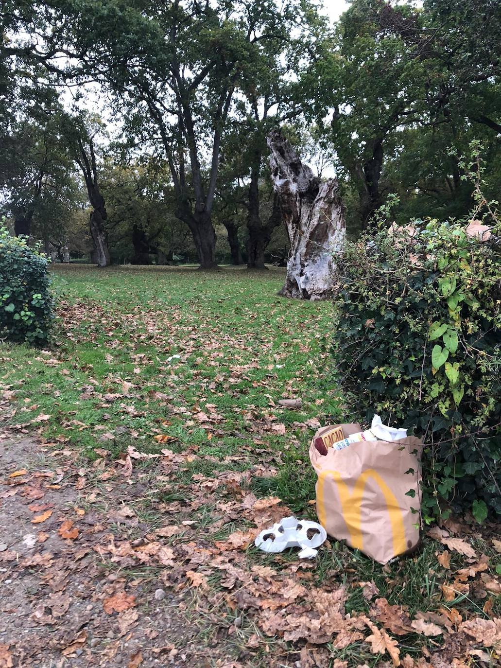 Los espacios verdes de la zona rural estuvieron ayer llenos de gente comiendo y merendando 