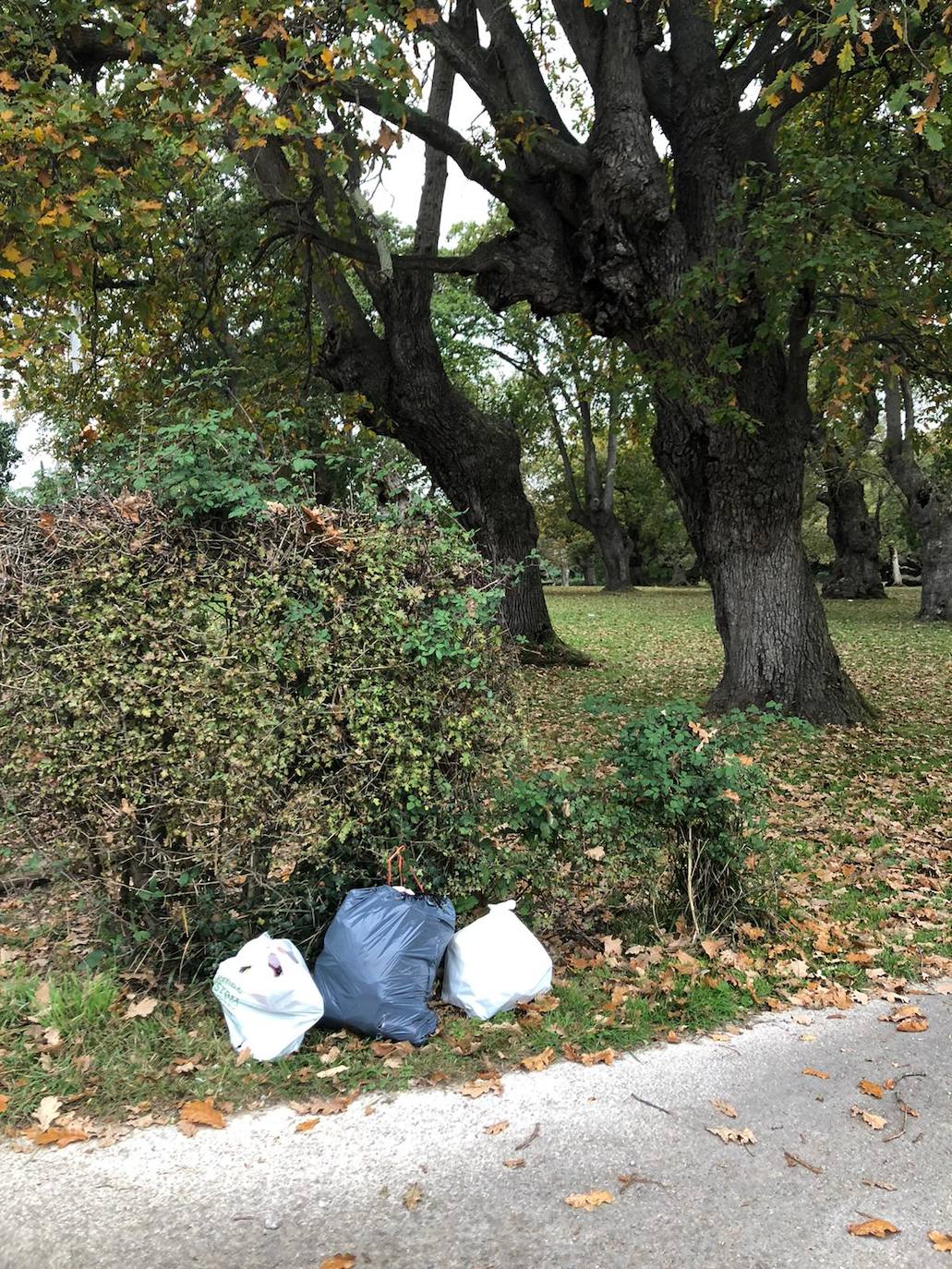 Los espacios verdes de la zona rural estuvieron ayer llenos de gente comiendo y merendando 
