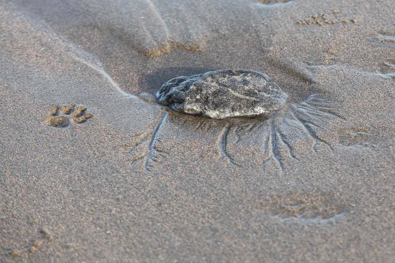 Los usuarios del arenal castrillonense se quejan de que la zona del Balneario está cubierta por rocas de gran tamaño. El Ayuntamiento sostiene que la pérdida de arena se debe a la fuerza de las mareas.