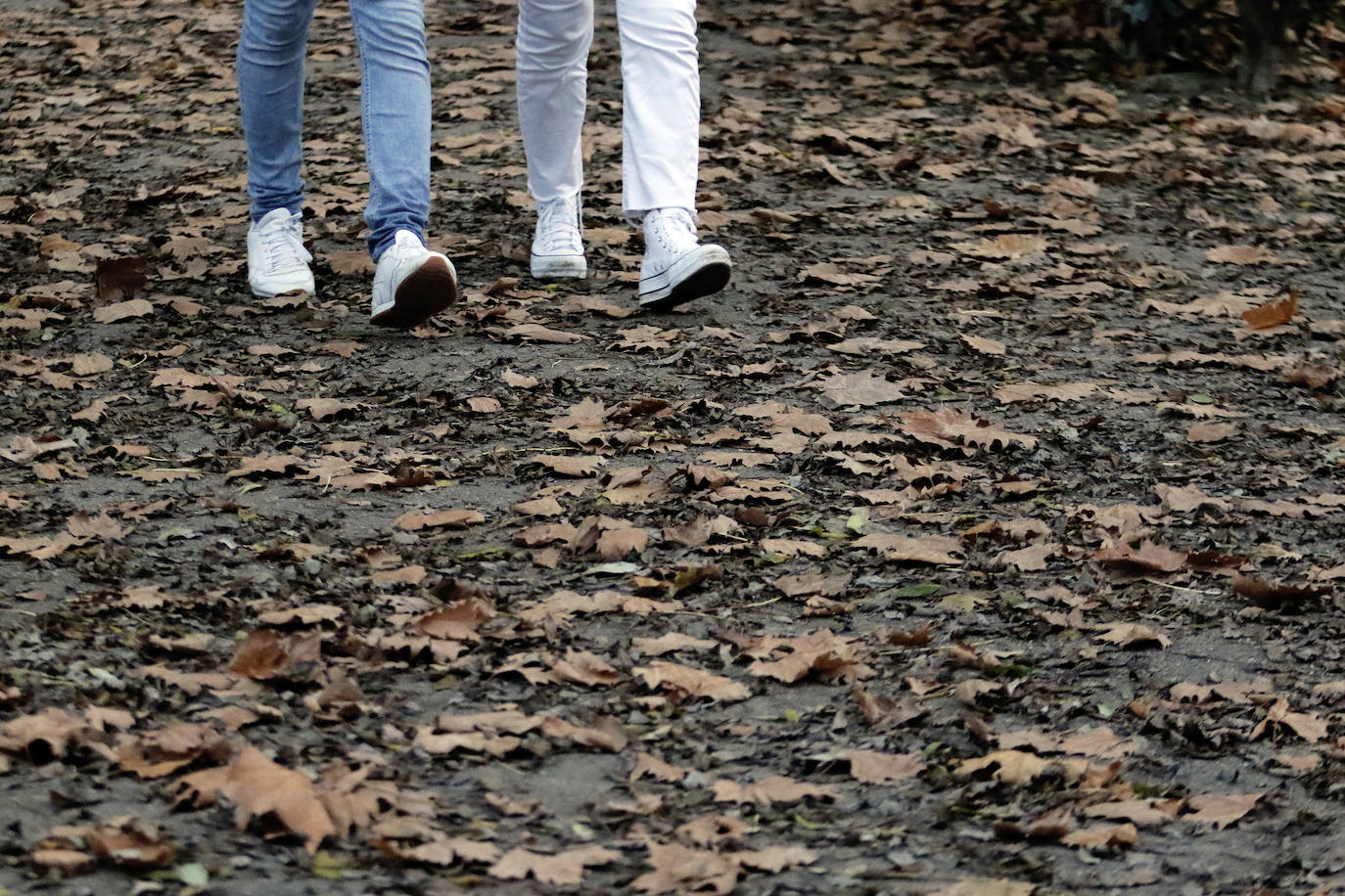 Las calles y los parques de Gijón ya están cubiertos de hojas y los árboles llevan semanas tiñéndose de ocre para dejar estampas otoñales tan bellas como estas.