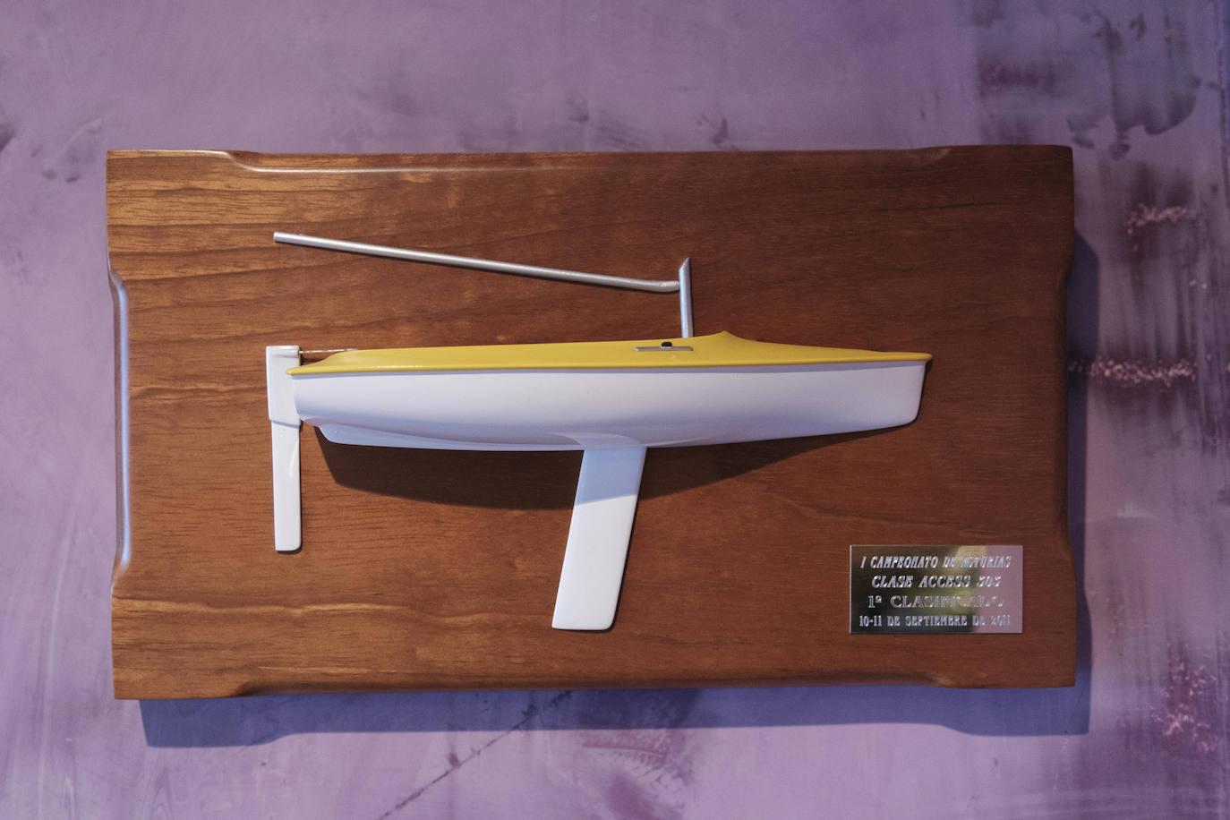 Tanto la casa como el acceso a la terraza se han acomodado para el desplazamiento en silla de ruedas.