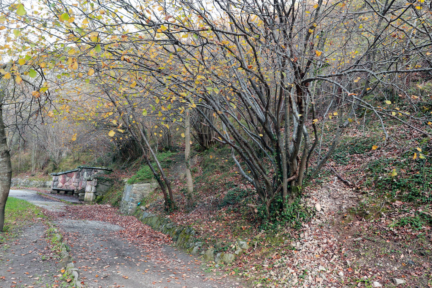 El ocre y el dorado del otoño tiñen los rincones del Principado que luce sus mejores galas también en esta estación.