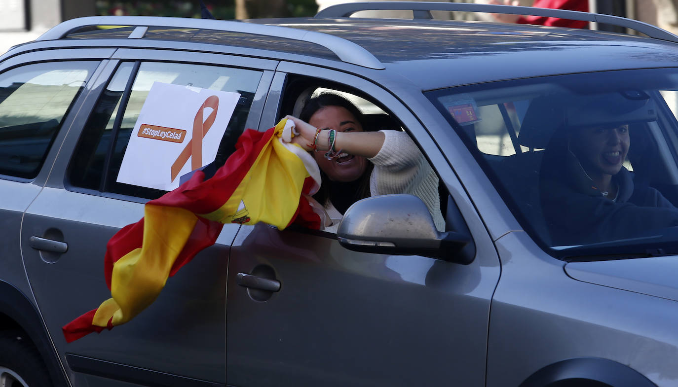 Protestan contra «el control político de la educación» y «los recortes en la libertad de enseñanza»
