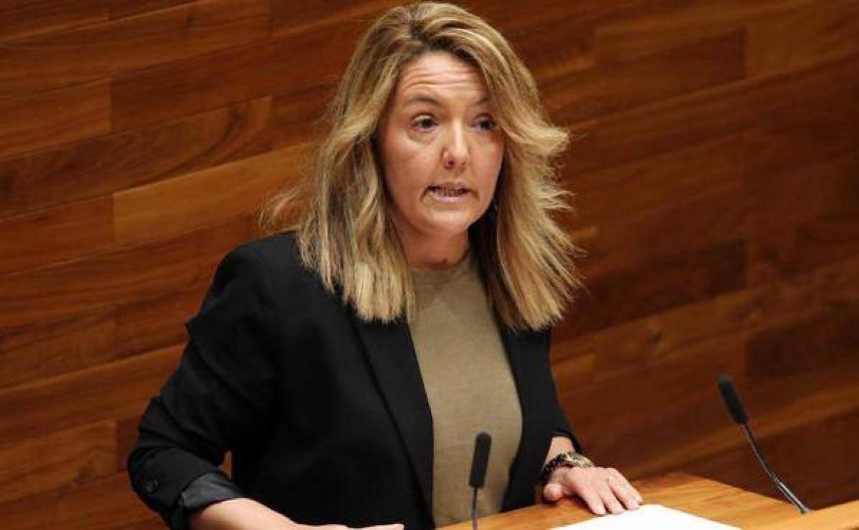 Mallada pide a Barbón que se posicione sobre la ley de Educación