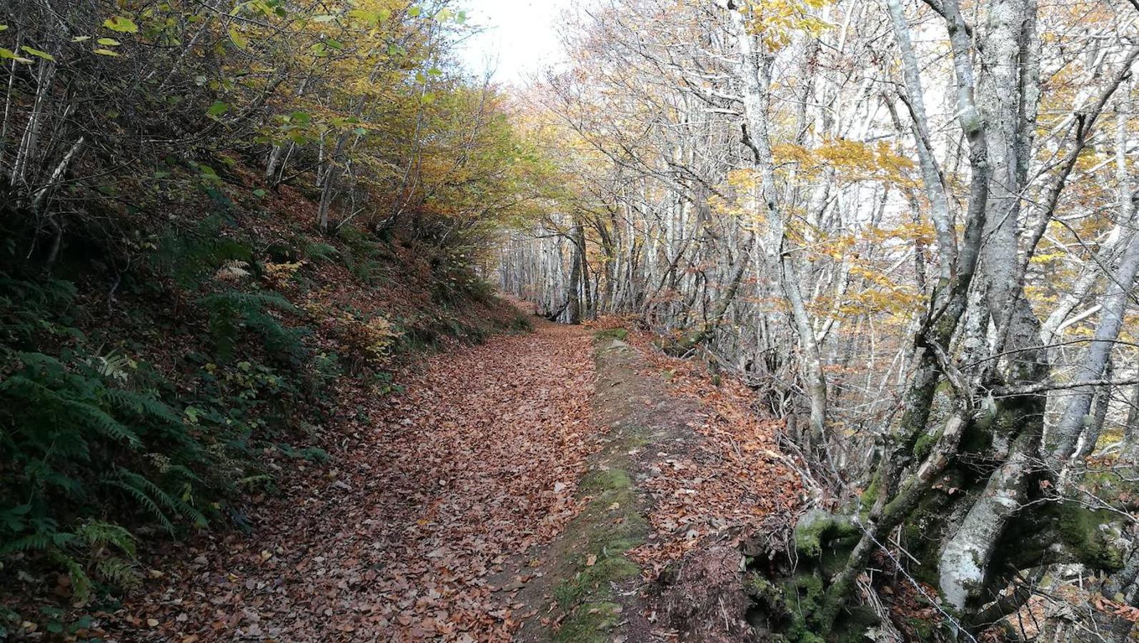 Fotos: Ruta a la Cascada del Tabayón del Mongallu