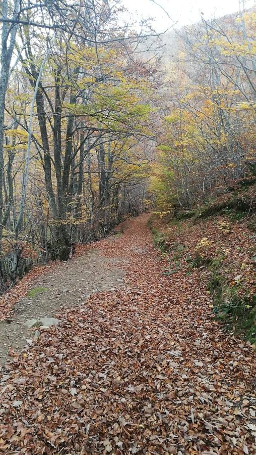 Fotos: Ruta a la Cascada del Tabayón del Mongallu