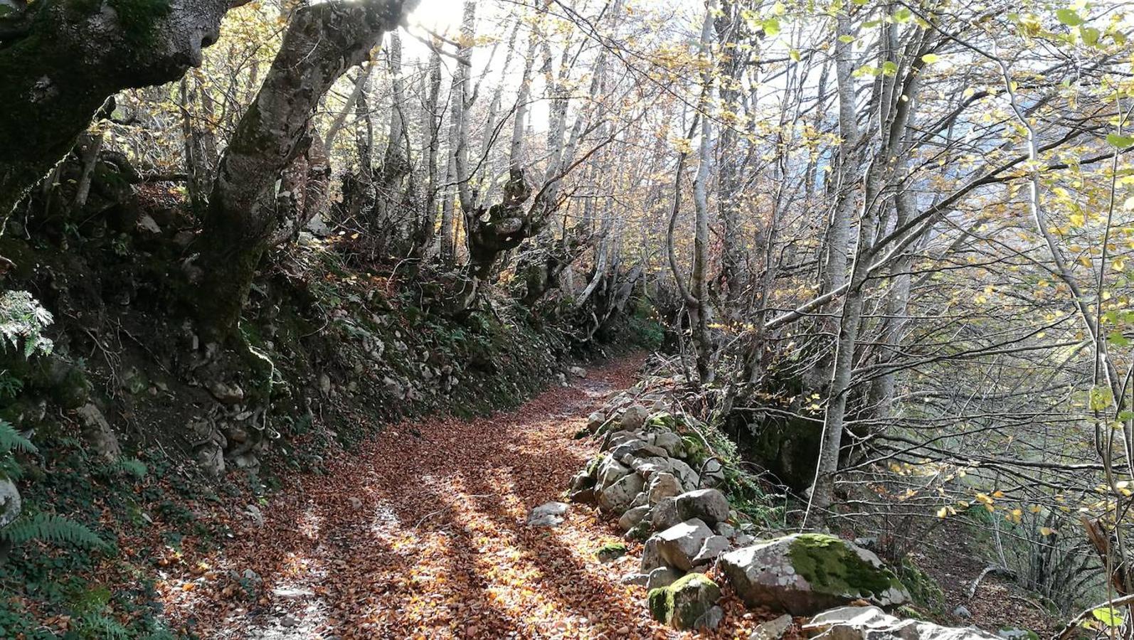 Fotos: Ruta a la Cascada del Tabayón del Mongallu