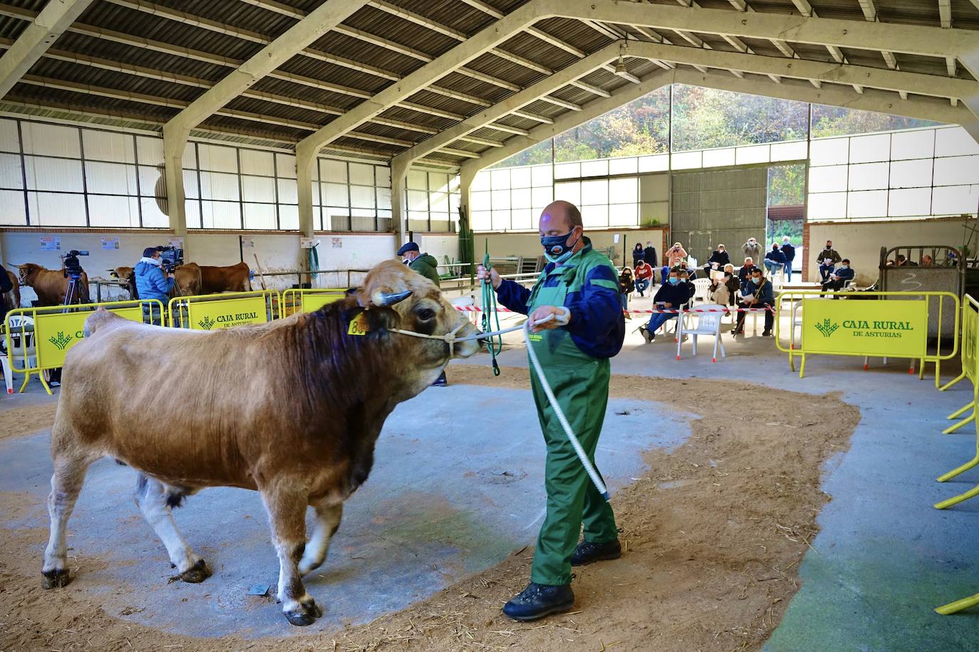 'Babiano', llegado desde León, fue el ejemplar más cotizado y finalmente se lo llevó a Llueves el ganadero cangués Máximo Sánchez por 1.950 euros