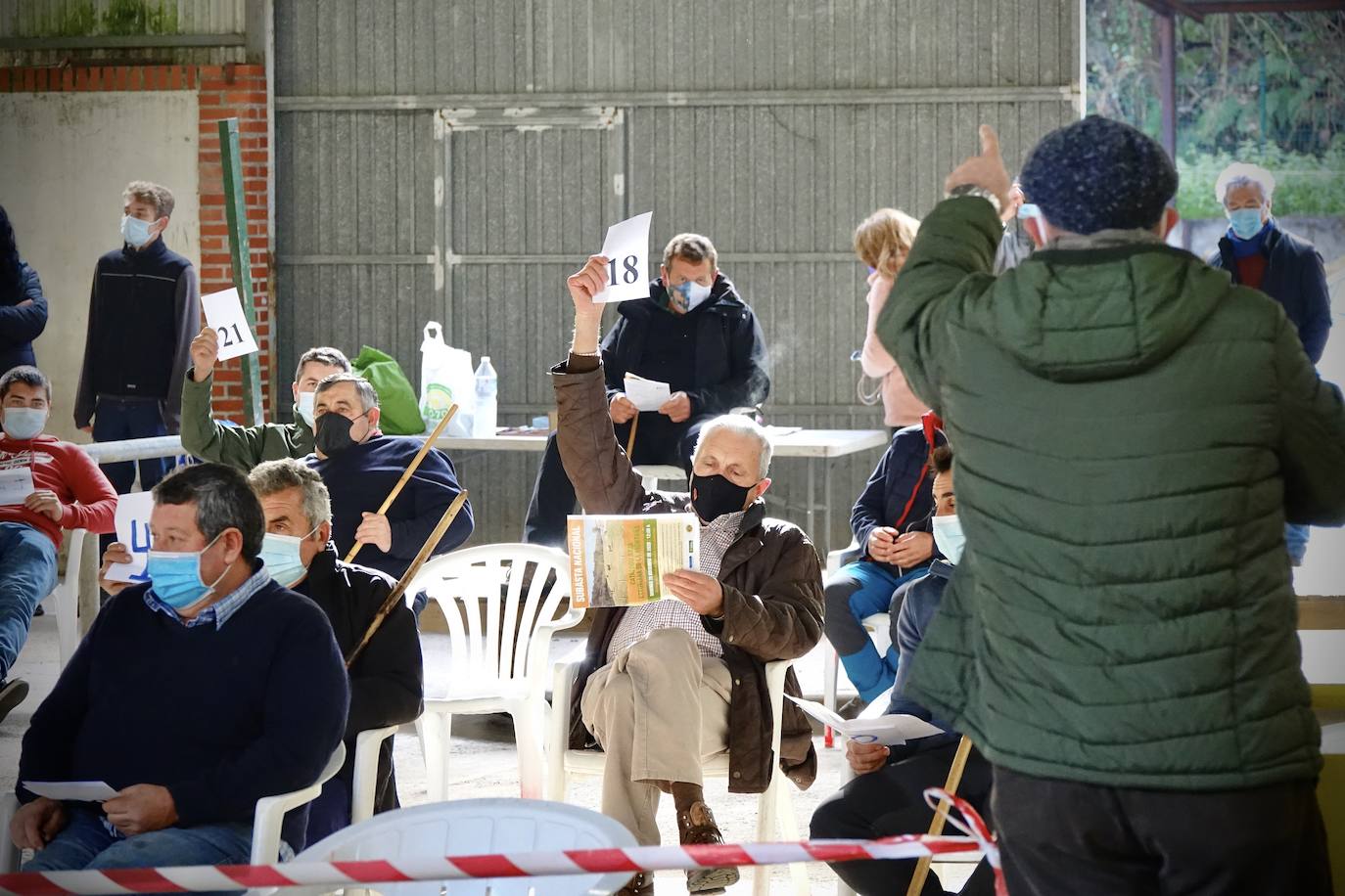 'Babiano', llegado desde León, fue el ejemplar más cotizado y finalmente se lo llevó a Llueves el ganadero cangués Máximo Sánchez por 1.950 euros