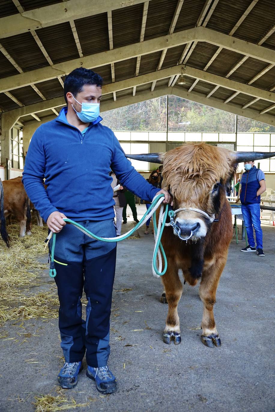 'Babiano', llegado desde León, fue el ejemplar más cotizado y finalmente se lo llevó a Llueves el ganadero cangués Máximo Sánchez por 1.950 euros