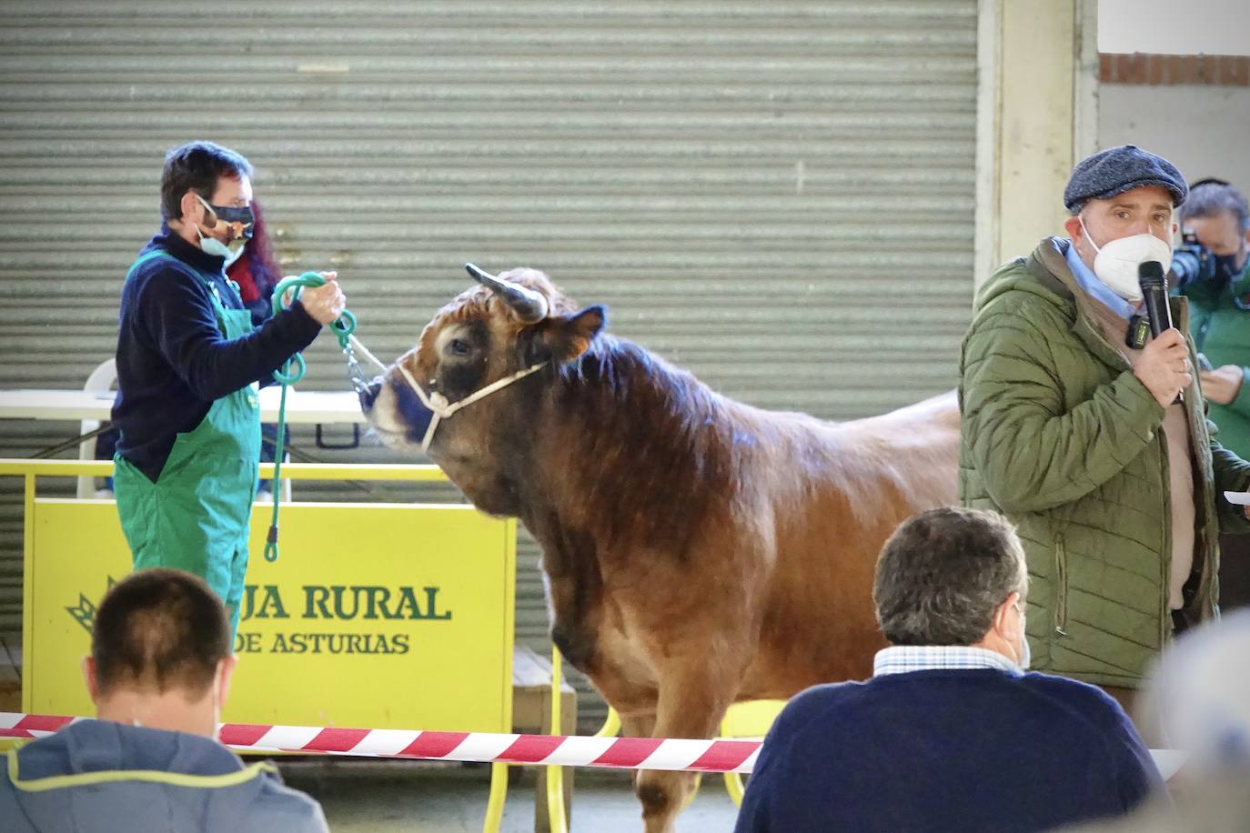 'Babiano', llegado desde León, fue el ejemplar más cotizado y finalmente se lo llevó a Llueves el ganadero cangués Máximo Sánchez por 1.950 euros
