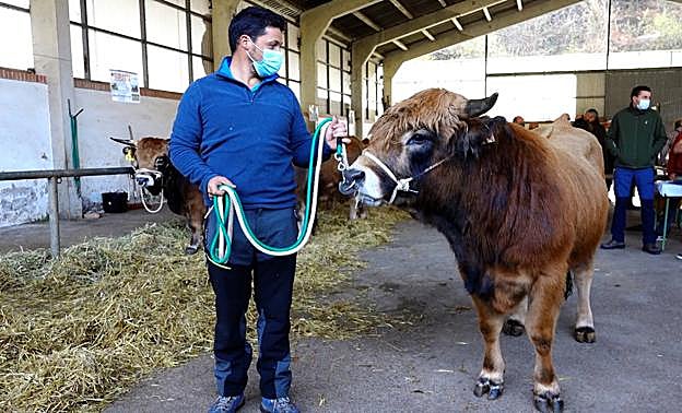 La crisis sanitaria lastra los precios de los sementales casinos