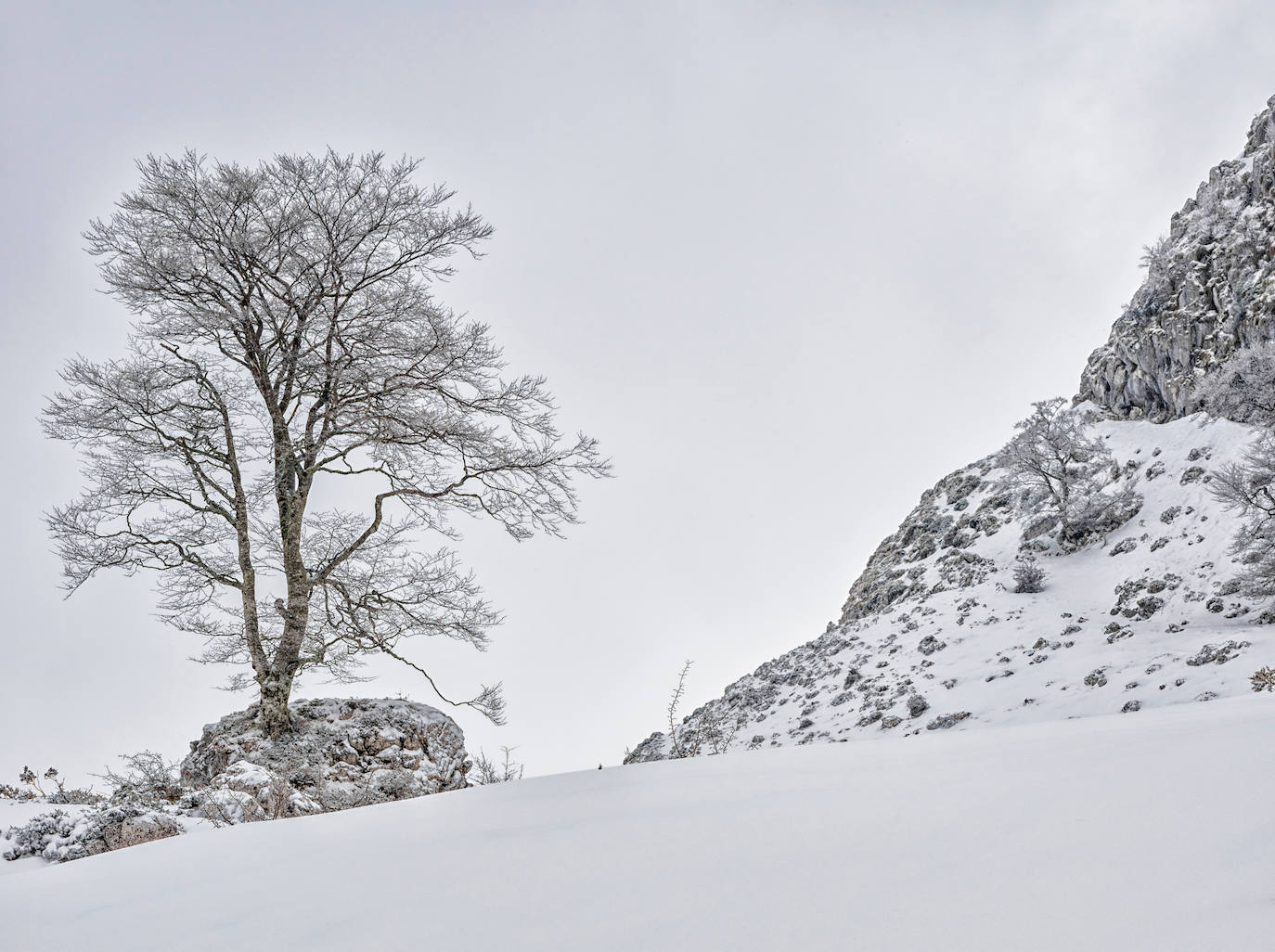 Estas cien imágenes son una selección de las fotografías captadas por los asturianos a lo largo de este año y que optaron a formar parte del calendario 'Escenas de Asturias', el concurso convocado por EL COMERCIO con el patrocinio del grupo El Gaitero. 