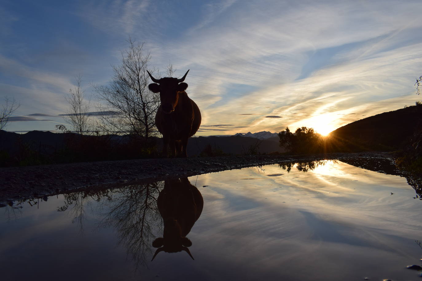 Estas cien imágenes son una selección de las fotografías captadas por los asturianos a lo largo de este año y que optaron a formar parte del calendario 'Escenas de Asturias', el concurso convocado por EL COMERCIO con el patrocinio del grupo El Gaitero. 