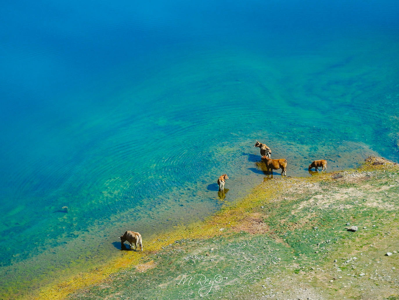 Estas cien imágenes son una selección de las fotografías captadas por los asturianos a lo largo de este año y que optaron a formar parte del calendario 'Escenas de Asturias', el concurso convocado por EL COMERCIO con el patrocinio del grupo El Gaitero. 