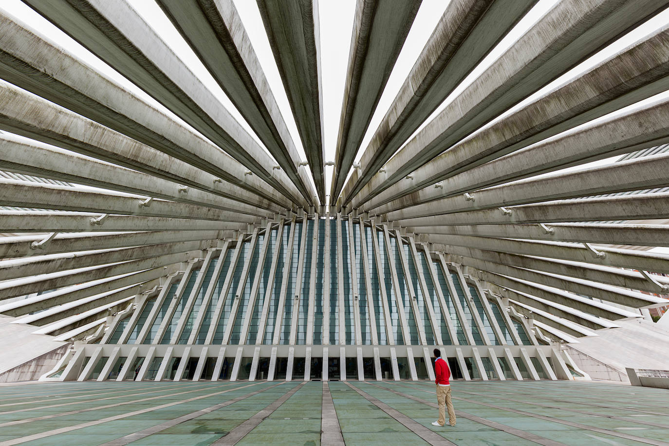 Estas cien imágenes son una selección de las fotografías captadas por los asturianos a lo largo de este año y que optaron a formar parte del calendario 'Escenas de Asturias', el concurso convocado por EL COMERCIO con el patrocinio del grupo El Gaitero. 