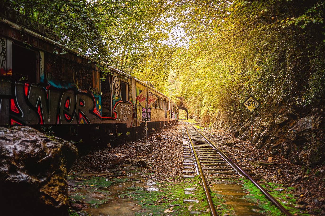 Estas cien imágenes son una selección de las fotografías captadas por los asturianos a lo largo de este año y que optaron a formar parte del calendario 'Escenas de Asturias', el concurso convocado por EL COMERCIO con el patrocinio del grupo El Gaitero. 