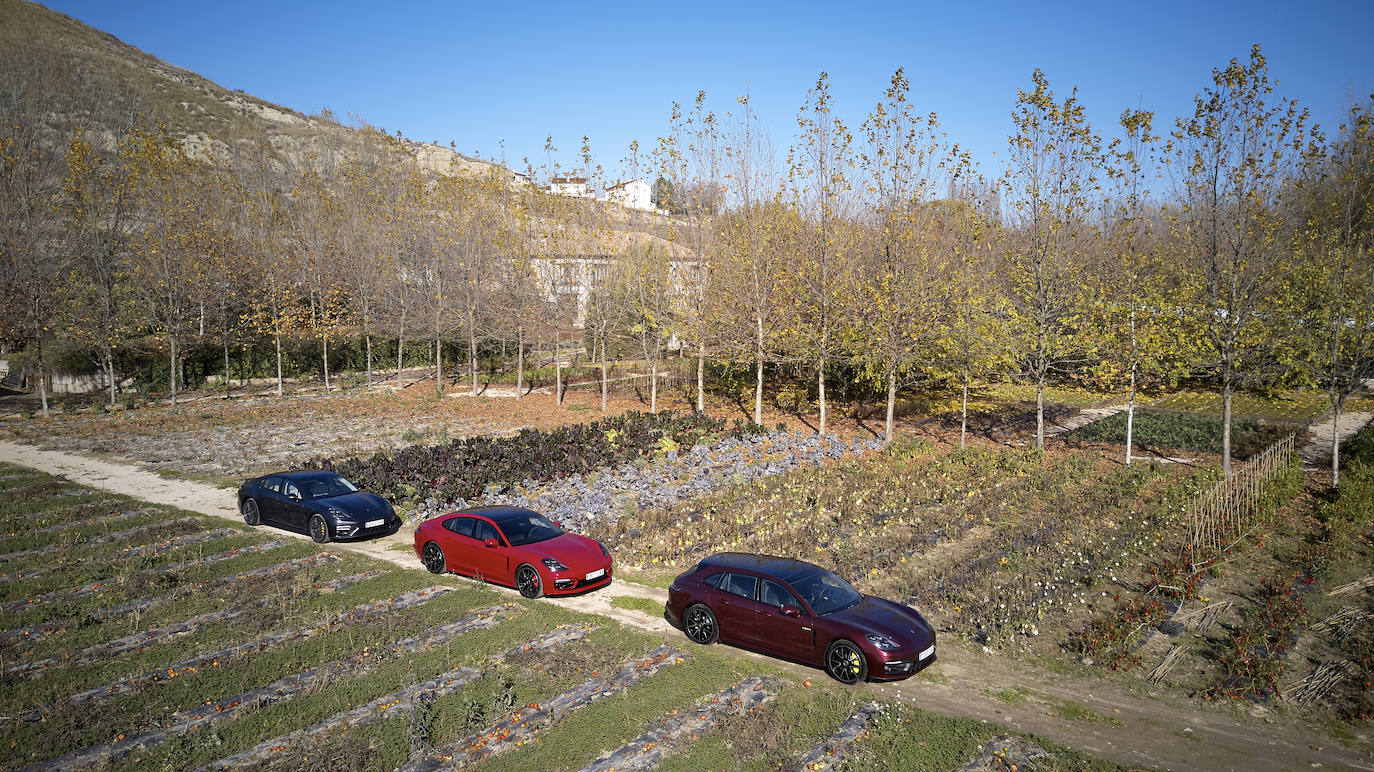 Fotos: Fotogalería: Porsche Panamera 2021