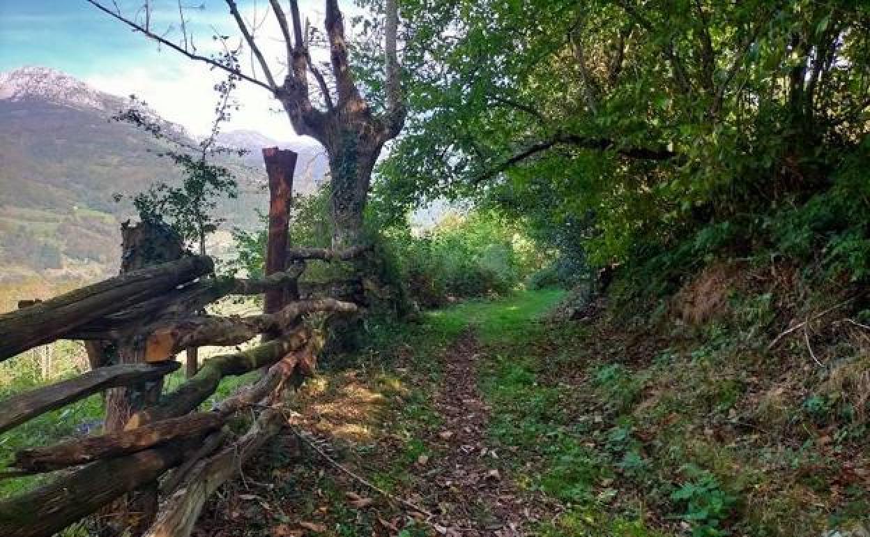 Planes en Asturias para este puente de diciembre 