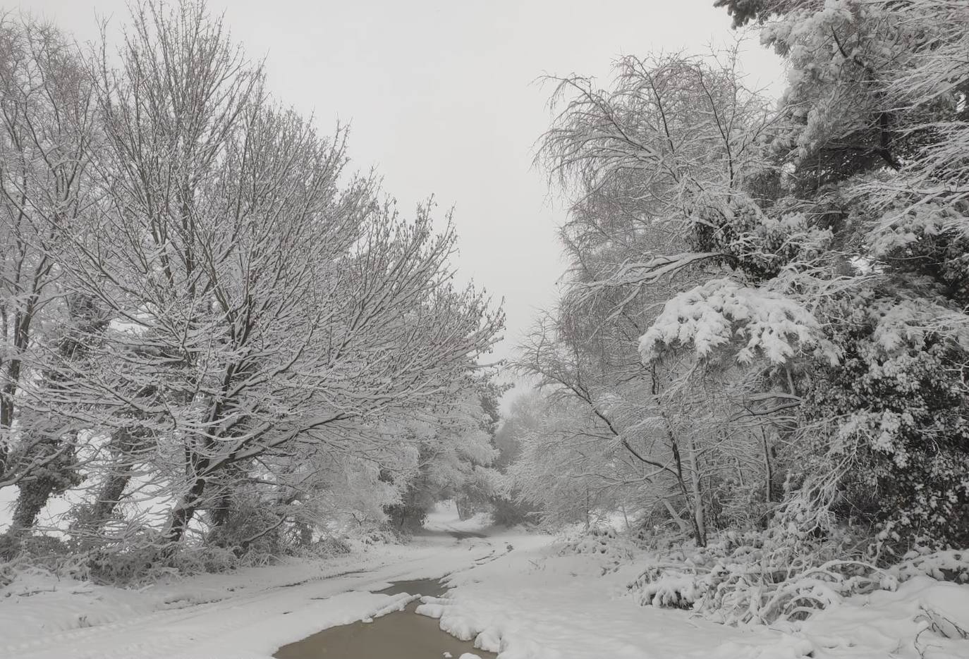 La región mantiene la alerta ante las fuertes rachas de viento y el riesgo de grandes nevadas y oleaje.