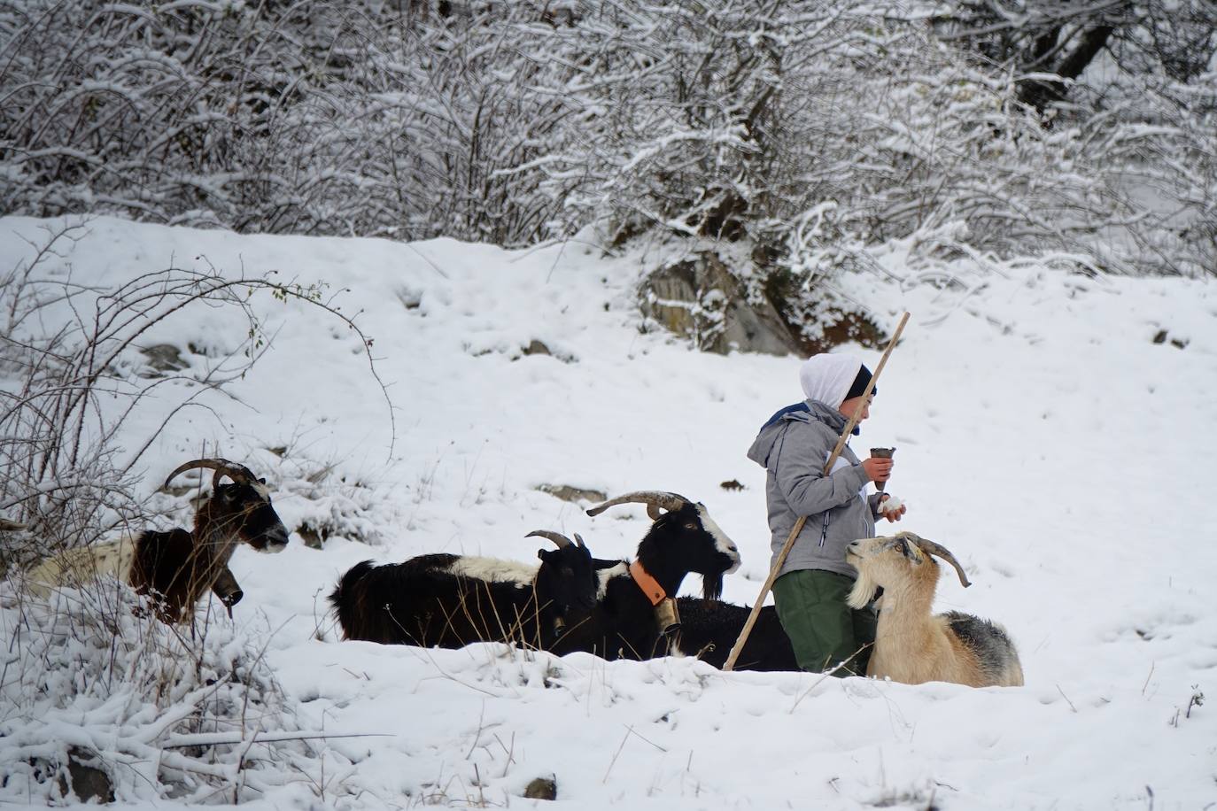 La región mantiene la alerta ante las fuertes rachas de viento y el riesgo de grandes nevadas y oleaje. Las rachas de viento alcanzaron los 131 kilómetros por hora en Leitariegos, y la boya del puerto de Gijón registró una ola de 8,43 metros