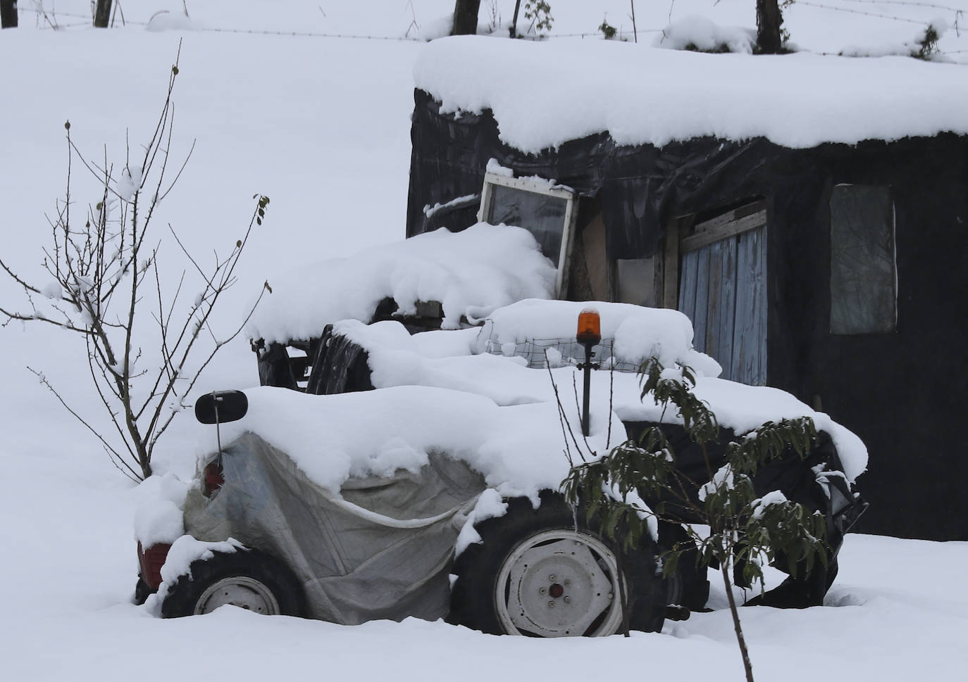 Copiosas nevadas, fuertes rachas de viento y oleaje en la primera borrasca invernal
